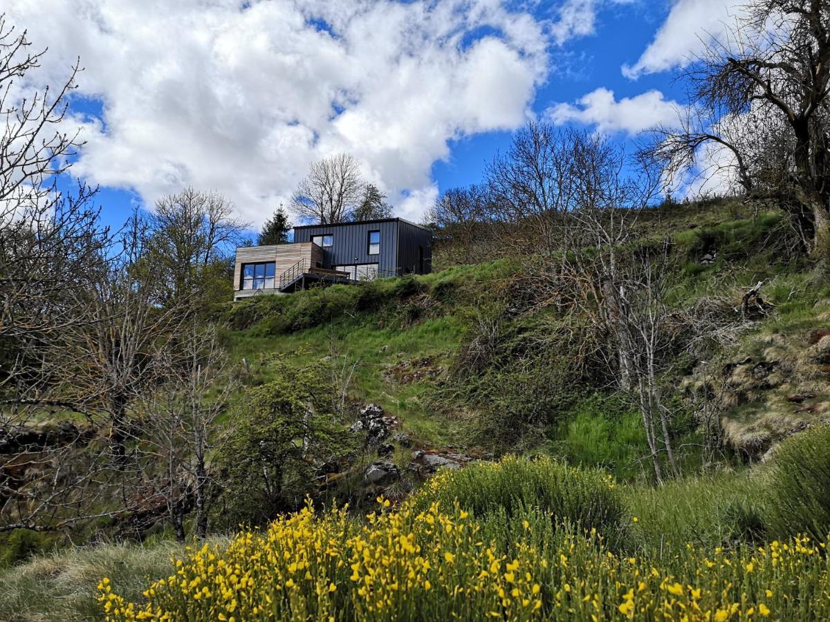 Maison D'Architecte En Pleine Nature Arlempdes Zewnętrze zdjęcie